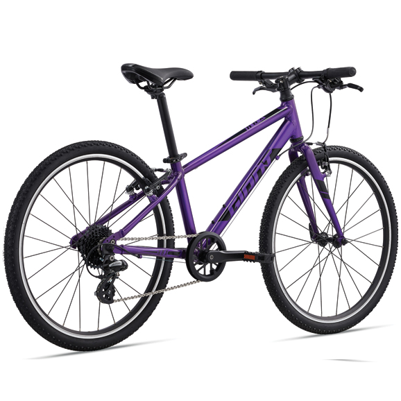 kids-bikes_arx-24_v01
