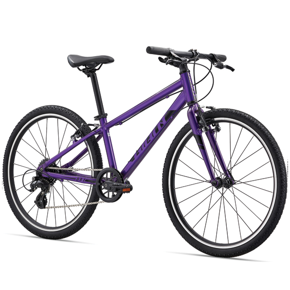 kids-bikes_arx-24_v02