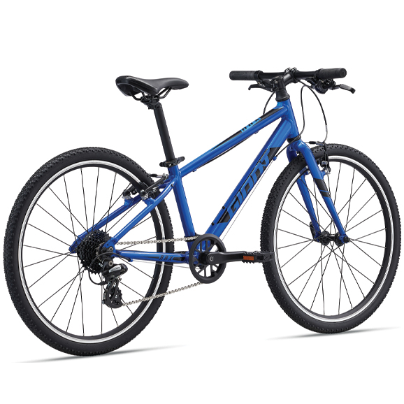 kids-bikes_arx-24_v03