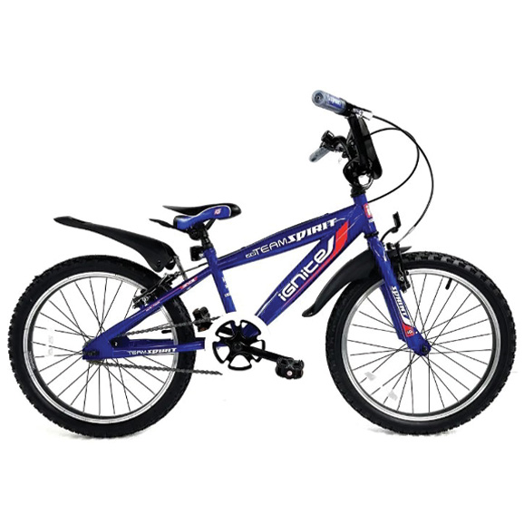 kids-bikes_ignite-team-spirit-20-inch_v02